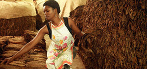 Cuban Quality: How our CUVANA E-Cigar is Making the Cuban Cigar Experience Accessible to Everyone